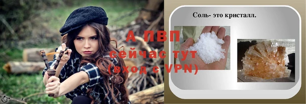 прущие крисы Горняк