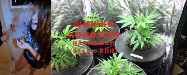 прущие крисы Горняк