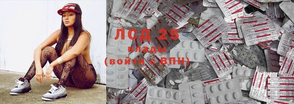 шишки Горнозаводск