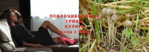 прущие крисы Горняк