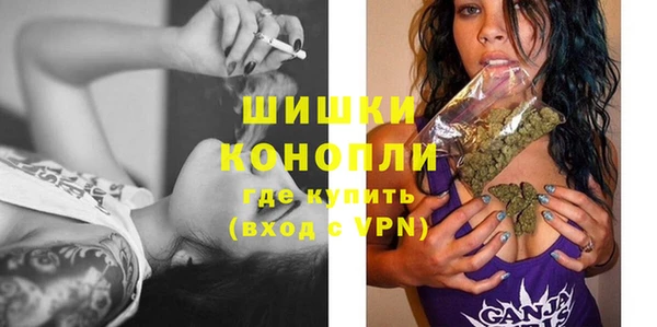 прущие крисы Горняк