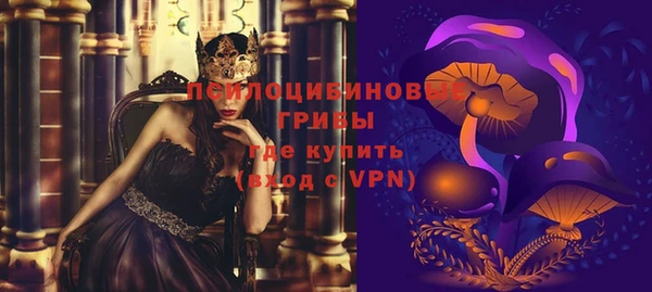 шишки Горнозаводск