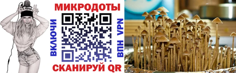 Купить закладки  Кашин  Галлюциногенные грибы ЛСД 