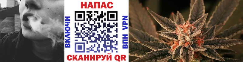 Купить закладки  Кашин  Бошки Шишки White Widow 